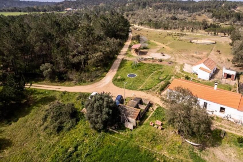 Casinha Da Paz - foto 35