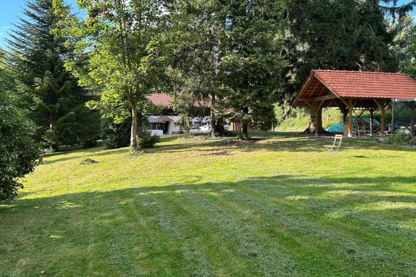 L'Ecureuil Blanc - foto 16