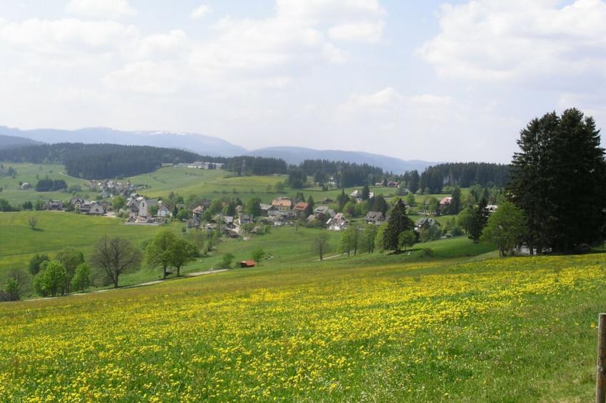 18615 - foto 18