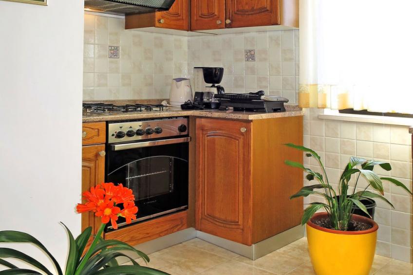 Rosa (LBN380) - foto 12