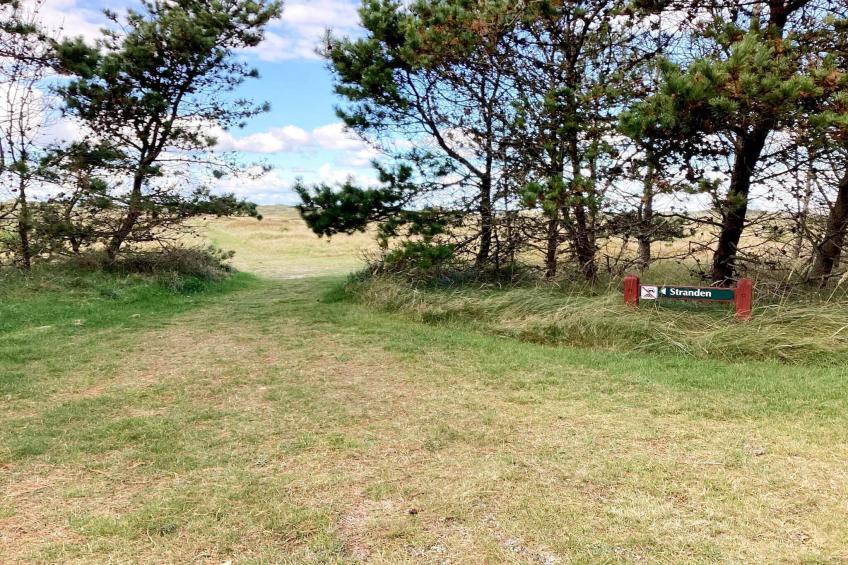 Skovhytte 4 personer - foto 19