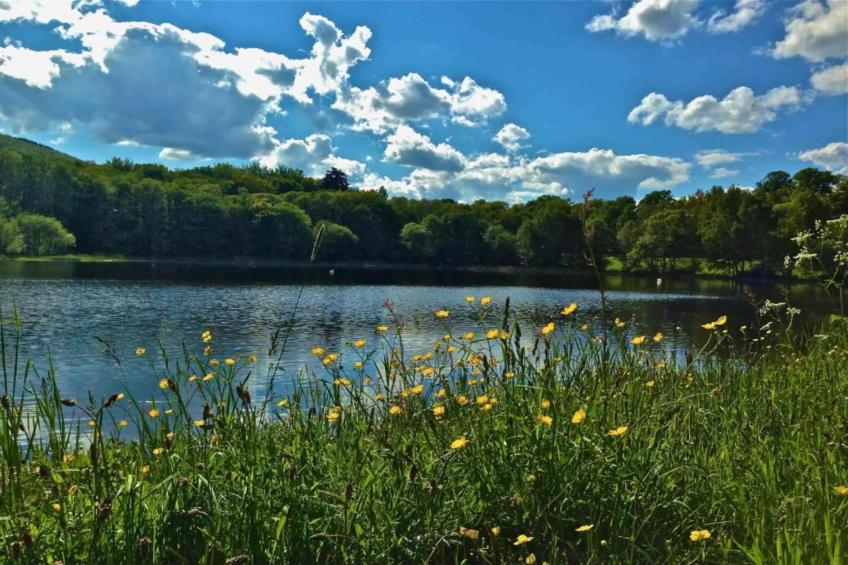 Ferienwohnung Christina - foto 23