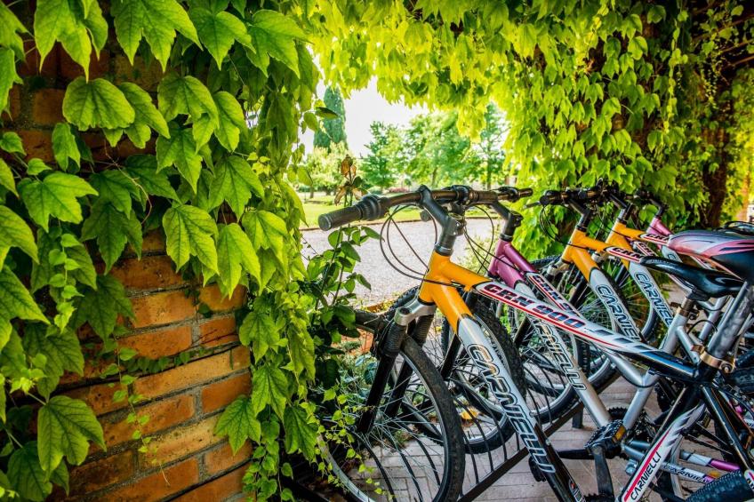 Folaghe bilocale - foto 26