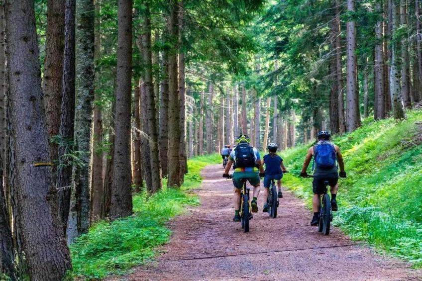 Holiday resort, Sarbinowo|Typ D 20 qm - foto 11