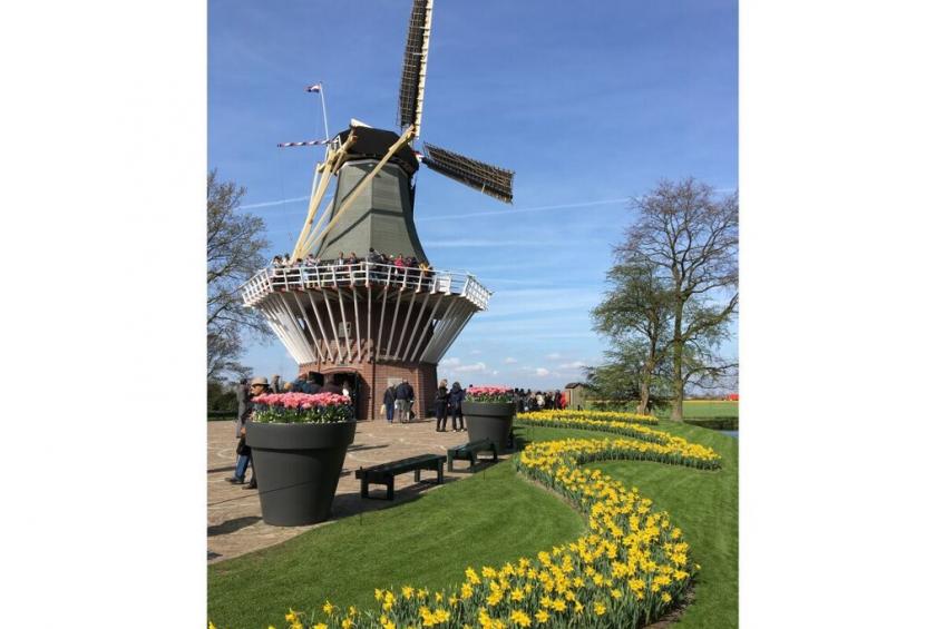 468157 - foto 17