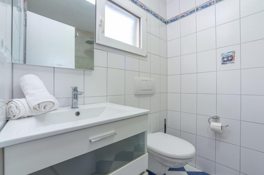 Rodriguez De La Fuente 19 (sin Nombre) - foto 18