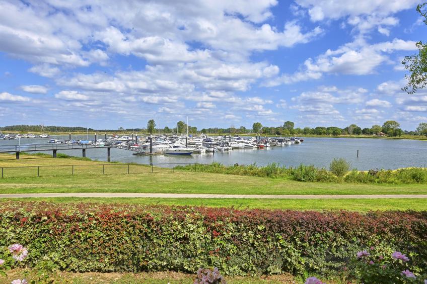 Rose Garden - foto 46