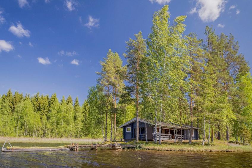 Aurinkoniemi - foto 9