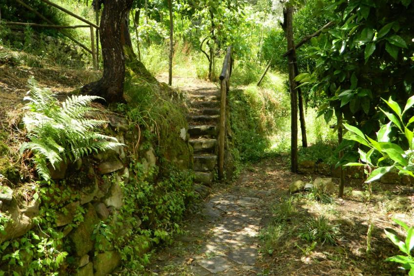 Wohnung mit Panoramaterrasse - foto 28