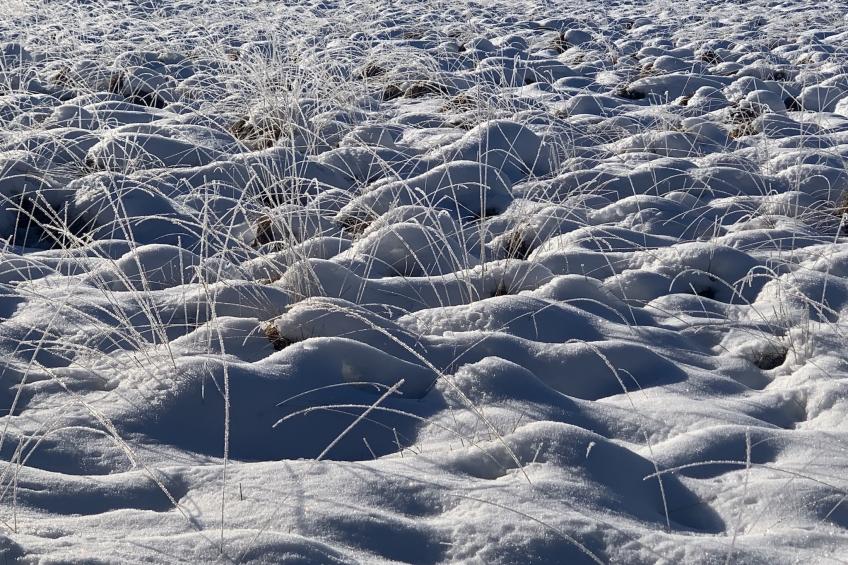 Hautes Fagnes - foto 38