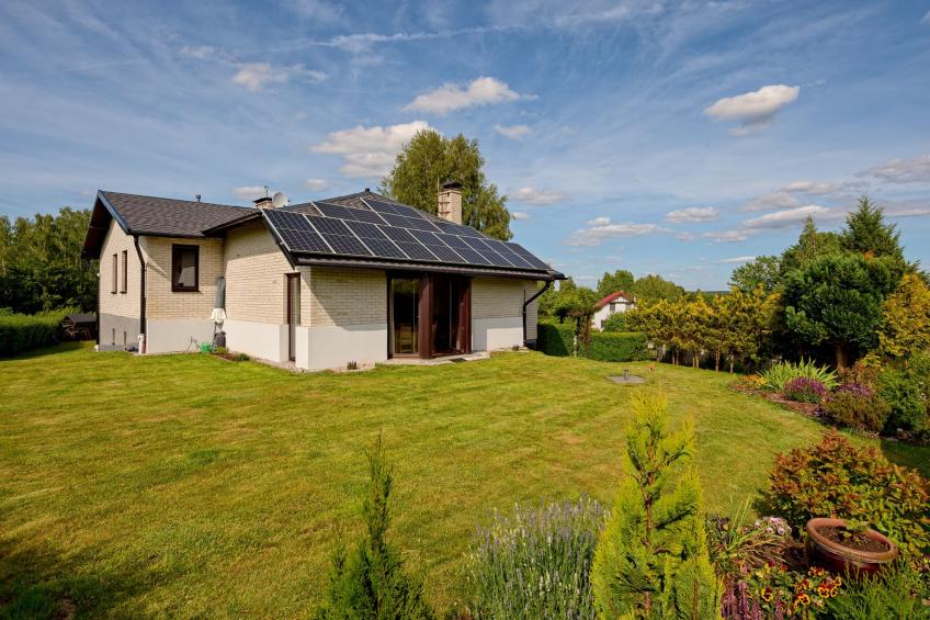 Trzy Brzozy - foto 28