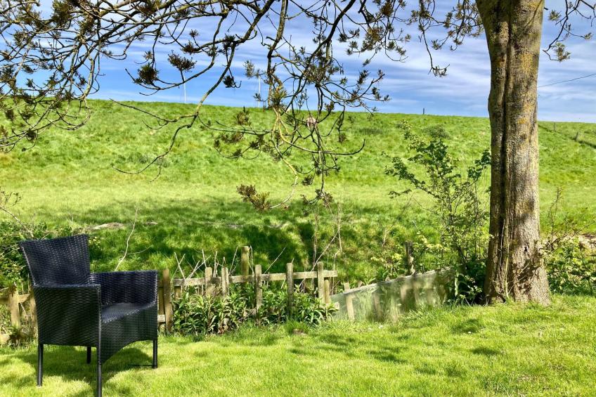 155 Joke am Deich - foto 21