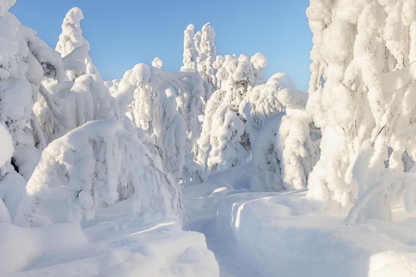 Loma-saaga 3 - foto 41