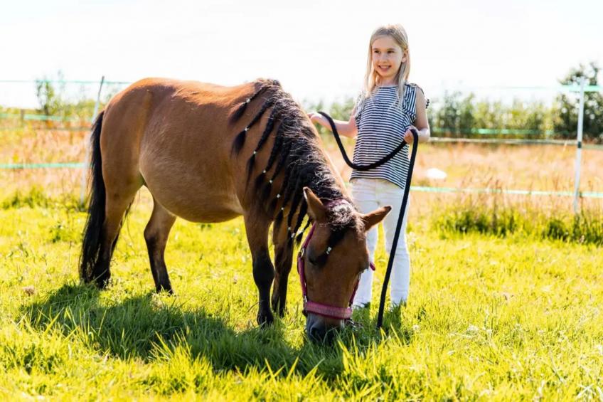 Ferox 5 persons - foto 25