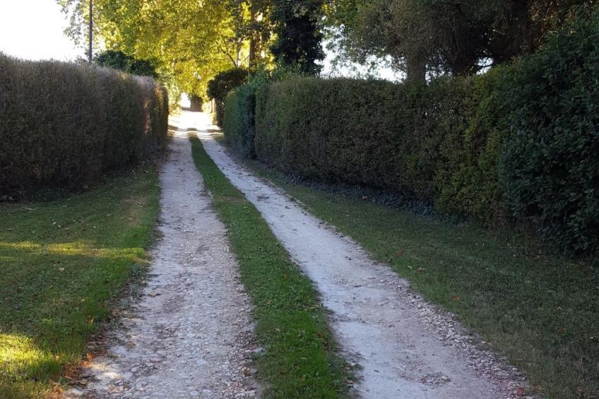 Der Pavillon - im Park des Schlosses Lescaut - foto 44