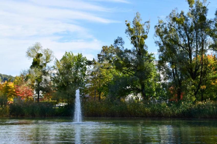 Apartment im Haus Sonntal - foto 40