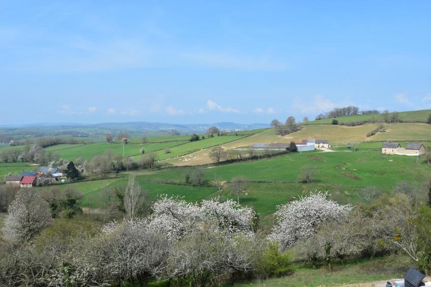 Apt 6 pers piscine - foto 25