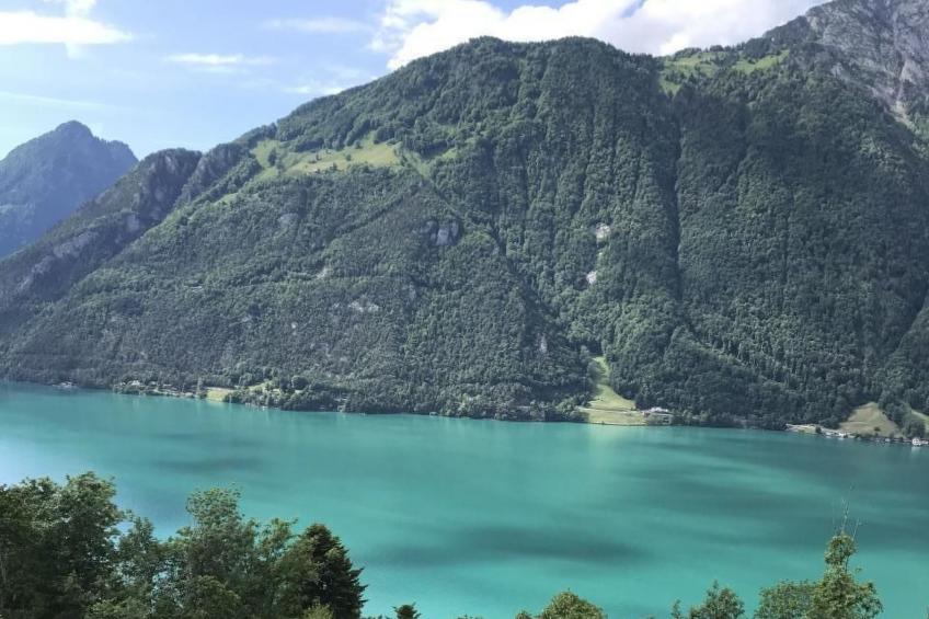 Villa Seelisberg mit Jacuzzi und Panoramablick - foto 43