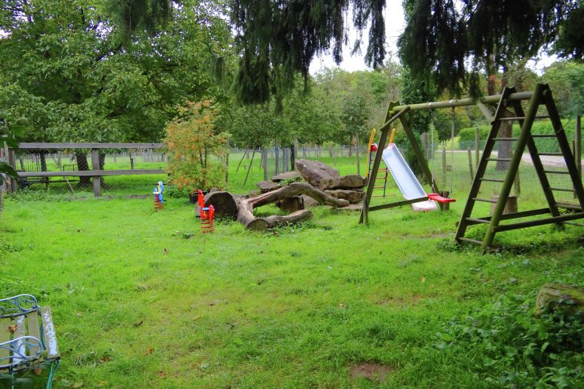Im Rheintal - foto 8