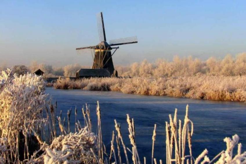 Gelijkvloerse vakantiewoning 6p huisje 17 - foto 29