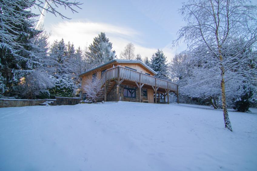 De Eekhoorn - foto 10