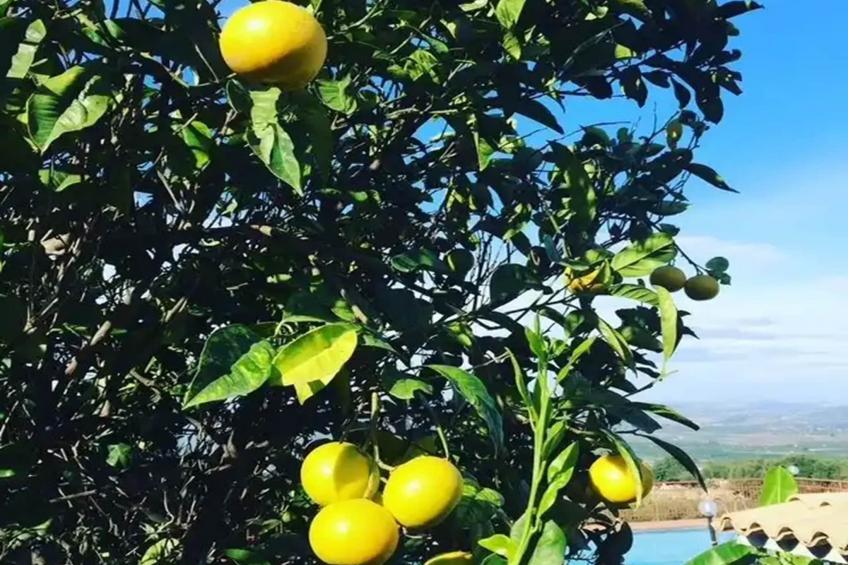 Casa Bellini 1 - foto 37