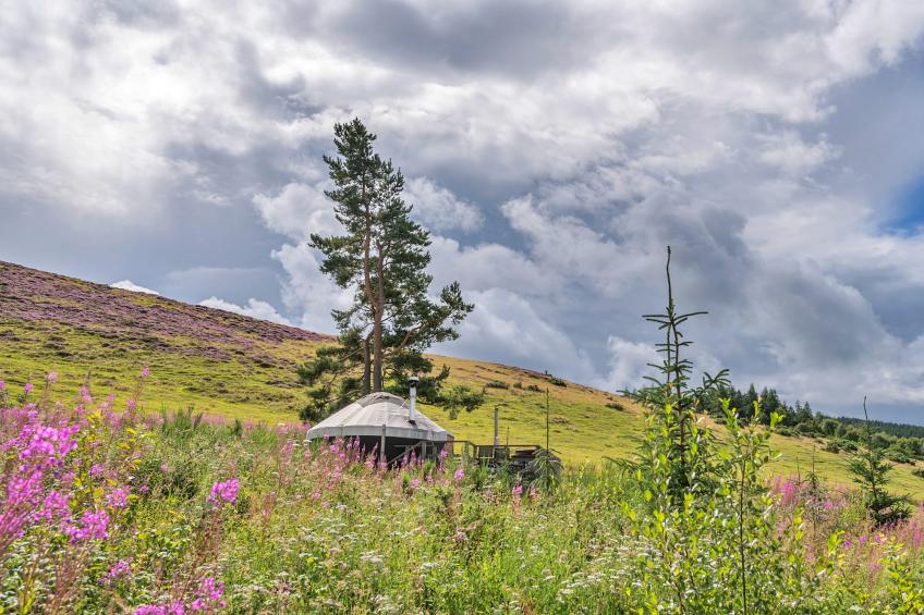 Bramble Yurt - foto 19
