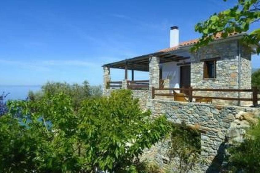 Margarites - foto 23