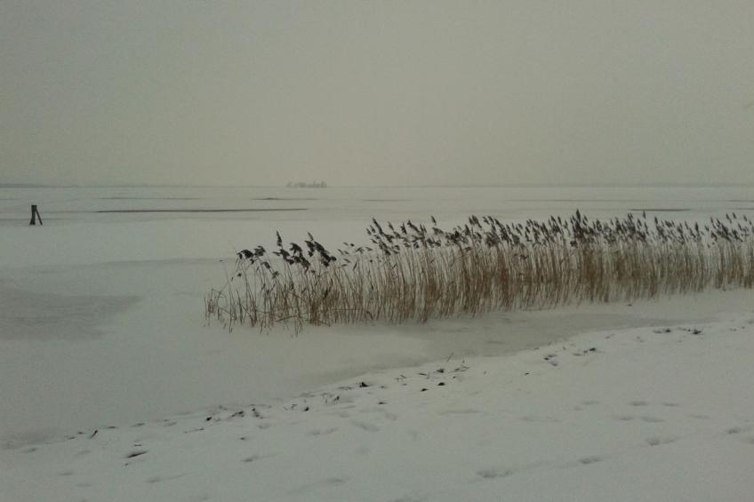 für 4 Personen ca. 165 m² in Mardorf, Niedersachsen (Steinhuder Meer) - foto 28