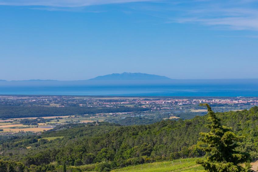 Ferienanlage Poggio di Nocola (RIP130) - foto 31