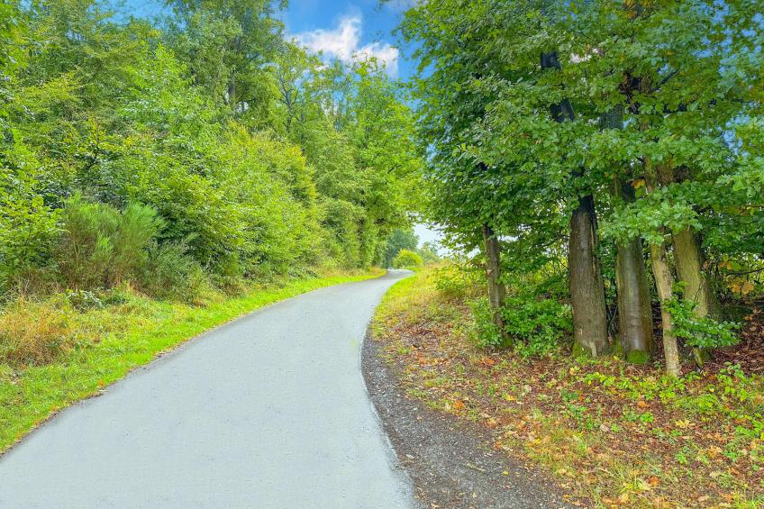 Panoramablick - foto 14