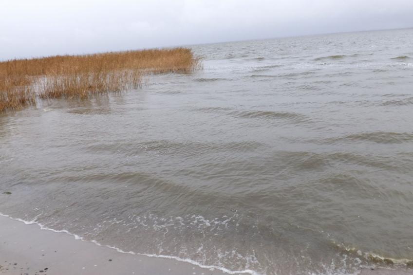 Haus Saaler Bodden - foto 6