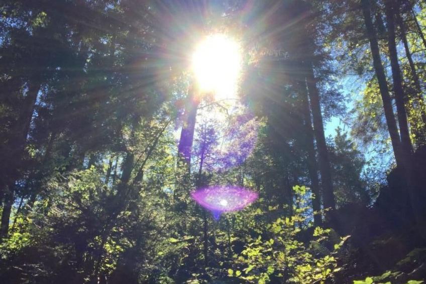 Gina's Apartment - Nähe zu See und Berge - foto 4