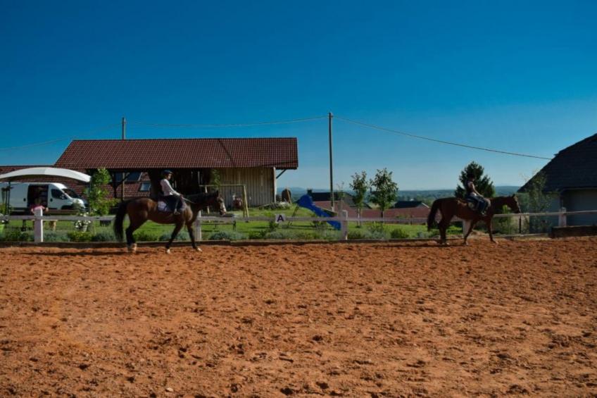 Zevnik Quiet Retreat with Stunning Views and Equestrian Activities - One Bedroom Apartment - foto 27