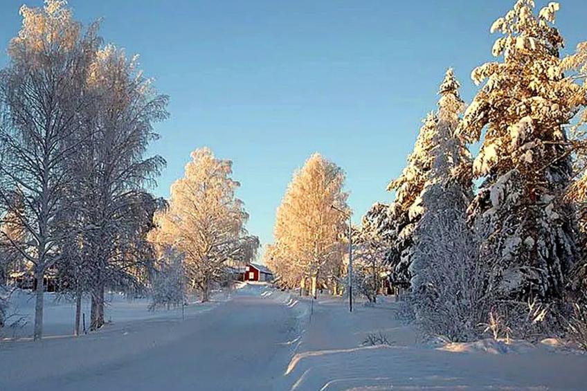 am Wald mit Kaminofen und Veranda - foto 11