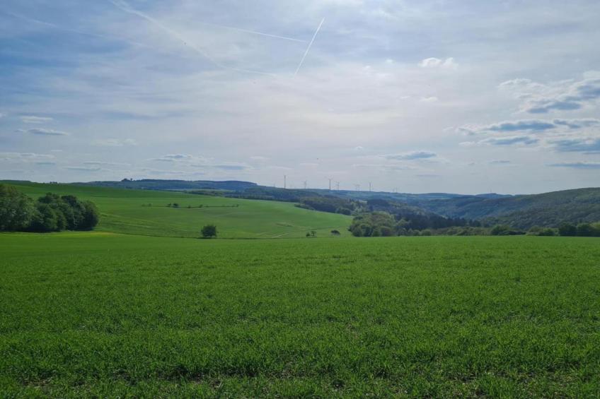 FEWO Eifelruhe - foto 36