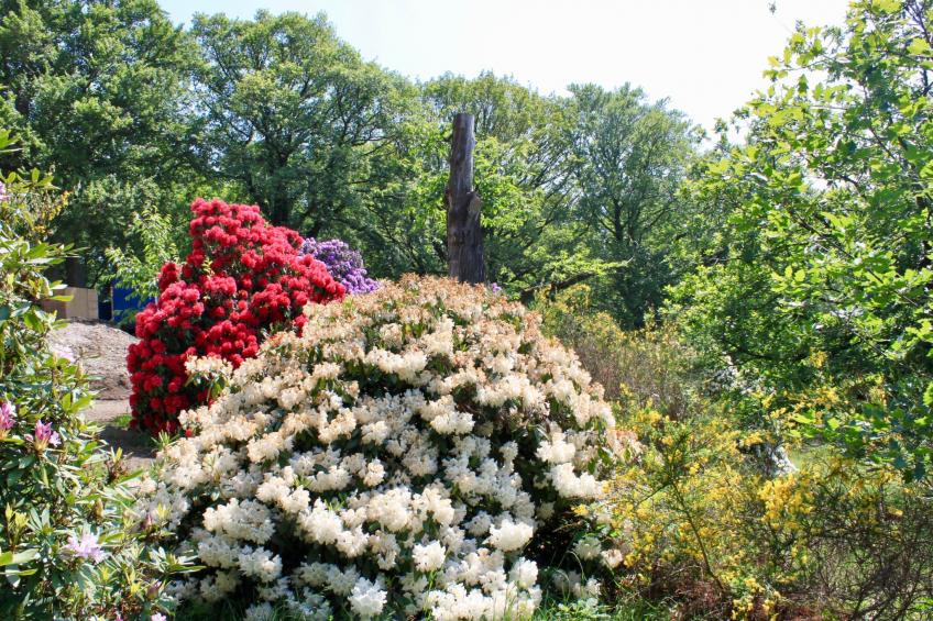 5-Sterne (Deutscher Tourismusverband) - Erholung wie ein König - - foto 20