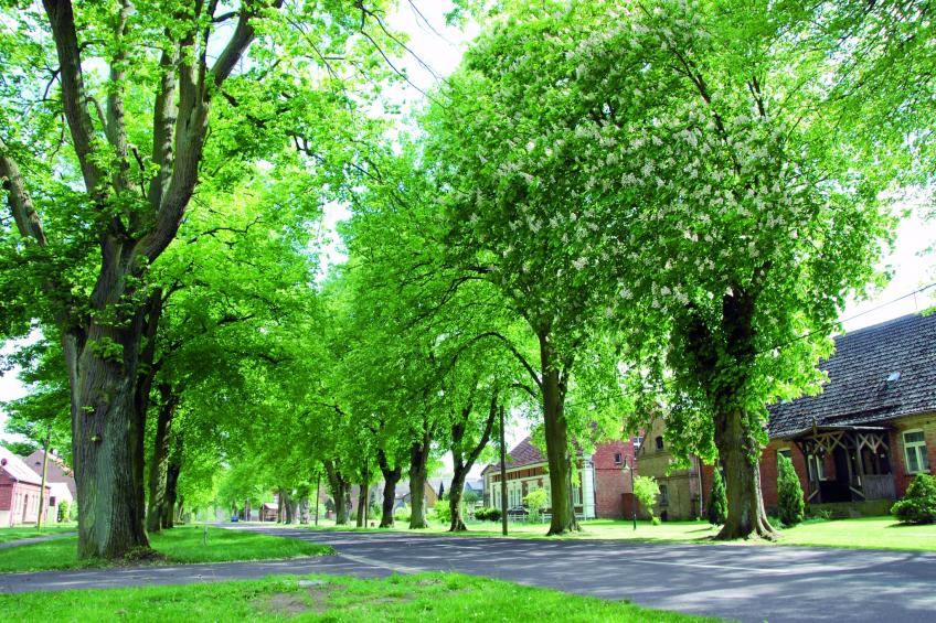 Nr3 Nebelsee 2 Personen - foto 25