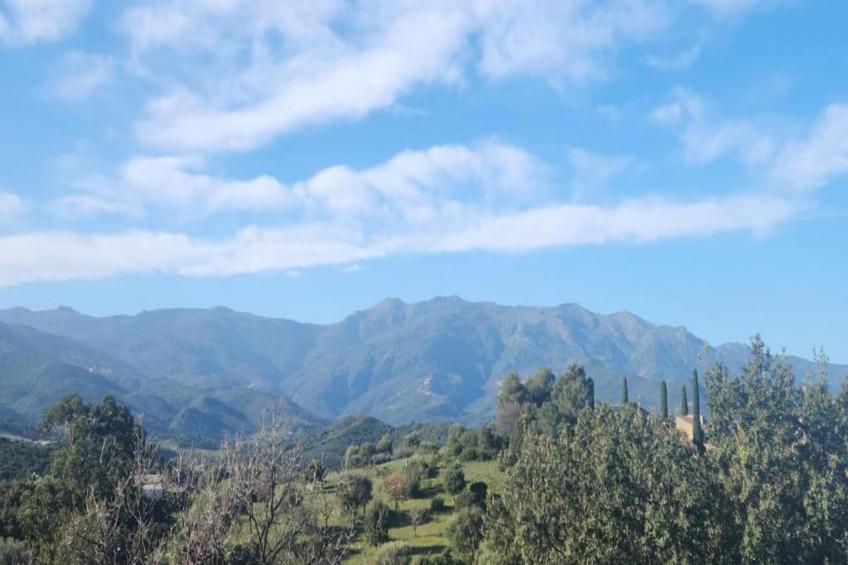 Résidence Casa d'Orinaju - foto 32