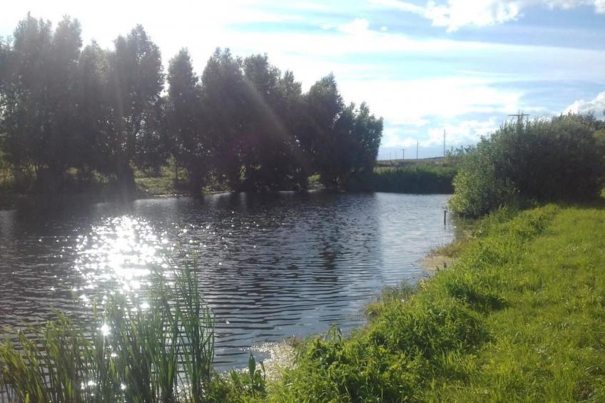 Blockhaus mit eigenem See - foto 15