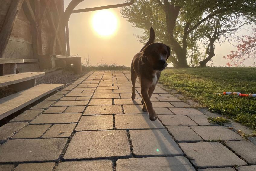 für 8 Personen  + 4 Kinder ca. 200 m² in Ptuj, Untersteiermark (Drau Slowe - foto 34