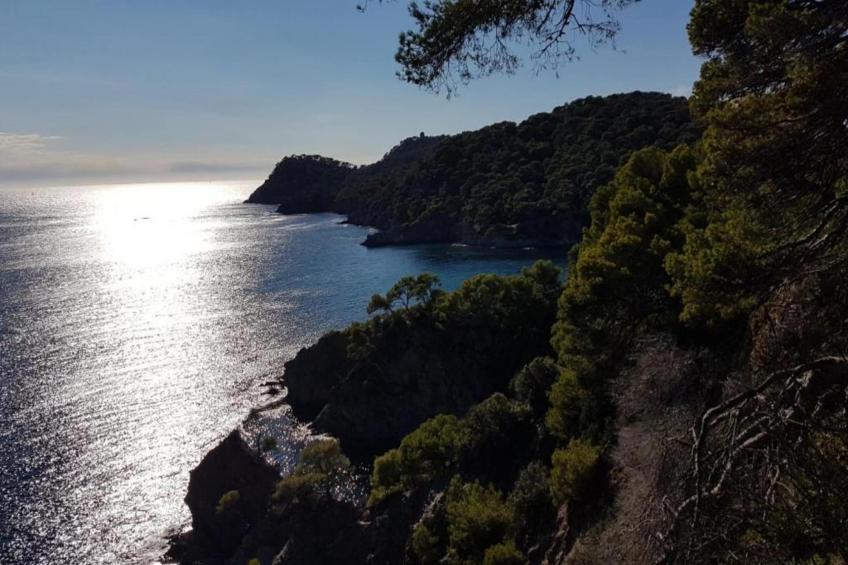 Le Riviera 4 - foto 39