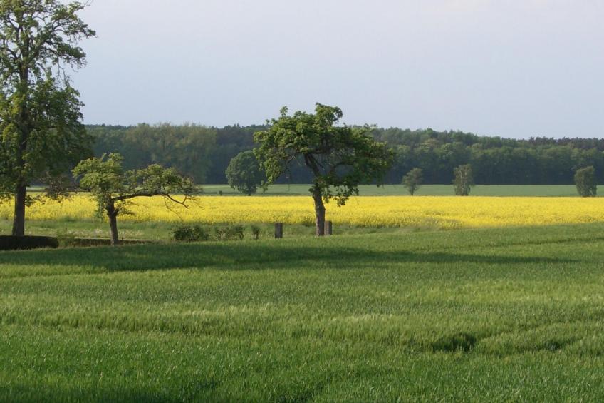 in Volksdorf mit Großer Terrasse - foto 21