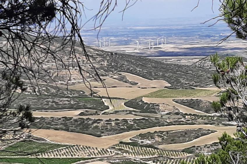 Landwohnung mit Bergblick - foto 40