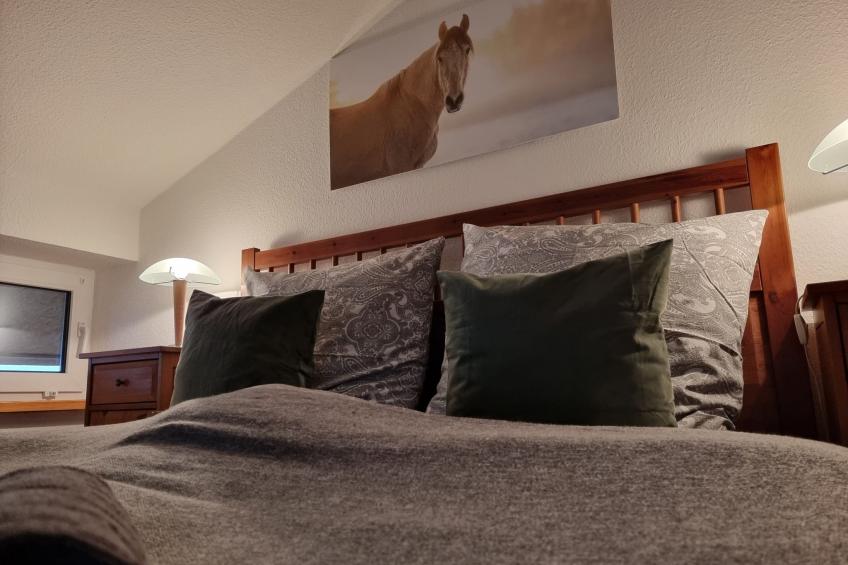 Urlaub auf dem Reithof mit Klavier - foto 17