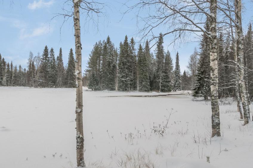 Vaahtissuvanto - foto 24