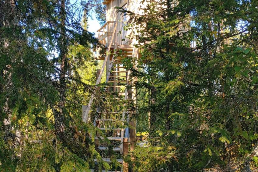 Aurora Lodge - foto 10