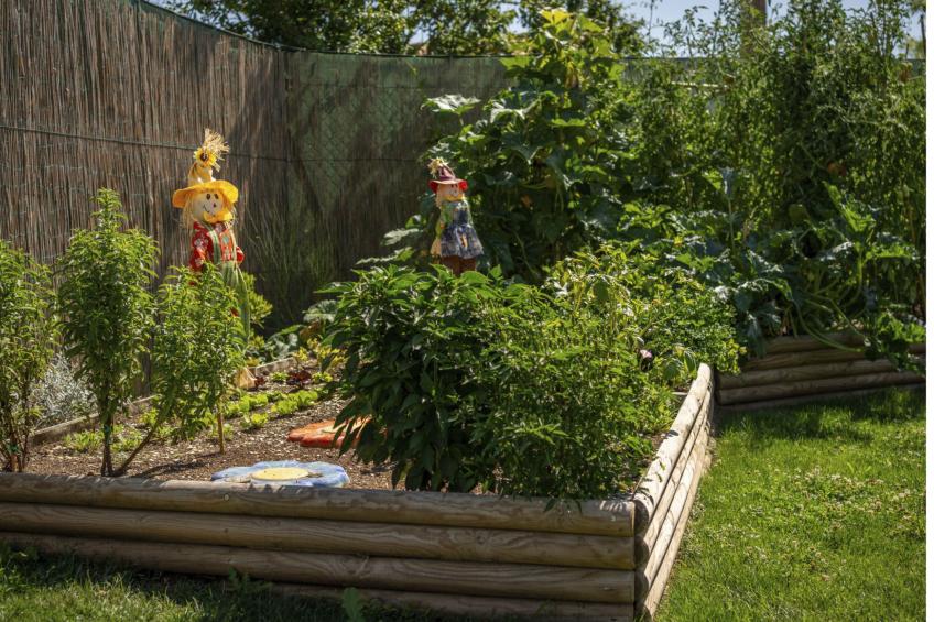 'Vindemia la salmon - foto 16