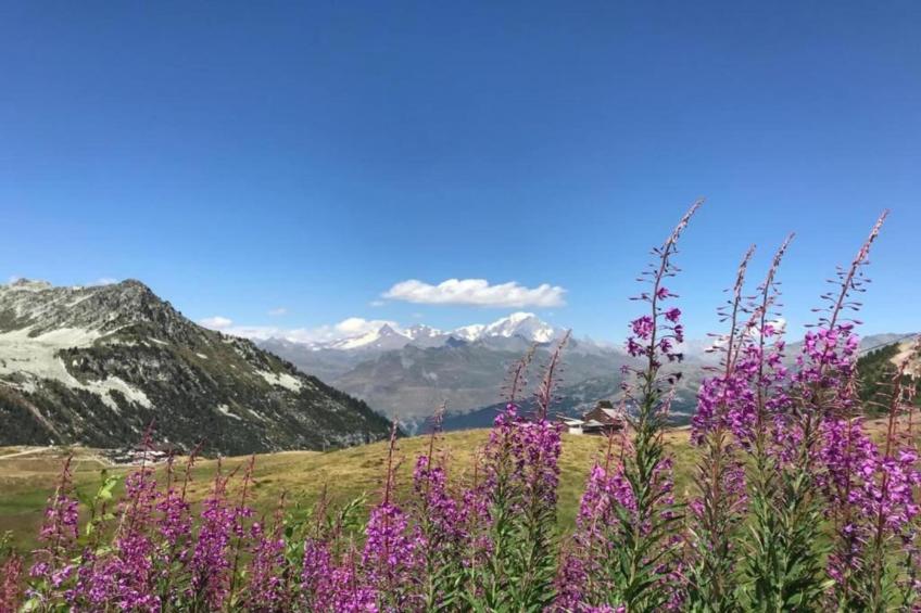 Résidence Chalet Altitude - foto 40