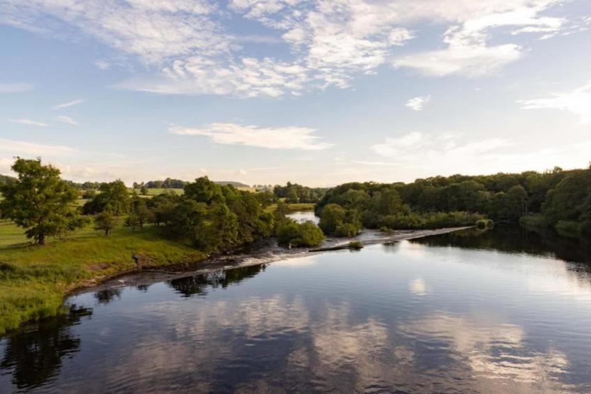 The Rushy Lot - foto 31